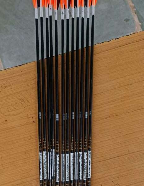 Easton scend hand arrow 450