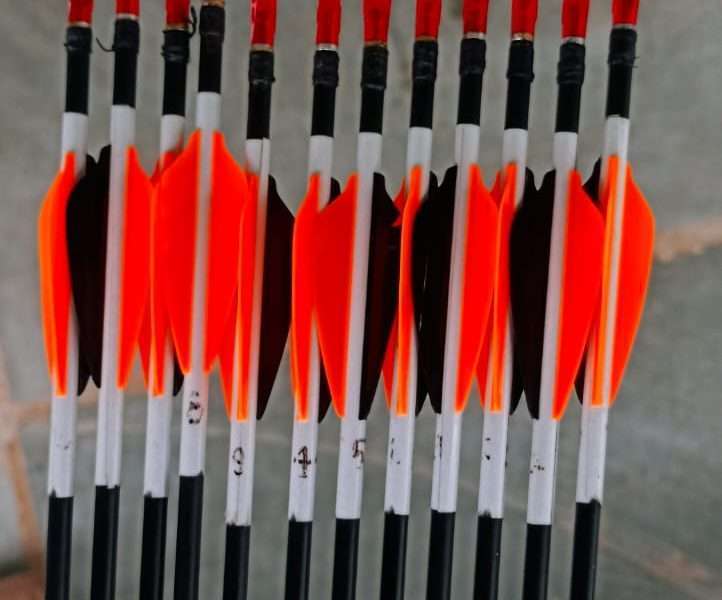 Easton scend hand arrow 450